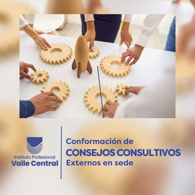 CONSEJOS CONUSLTIVOS