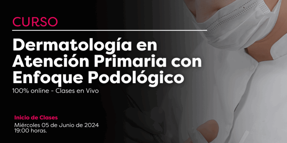 SLIDE – WEB CURSO