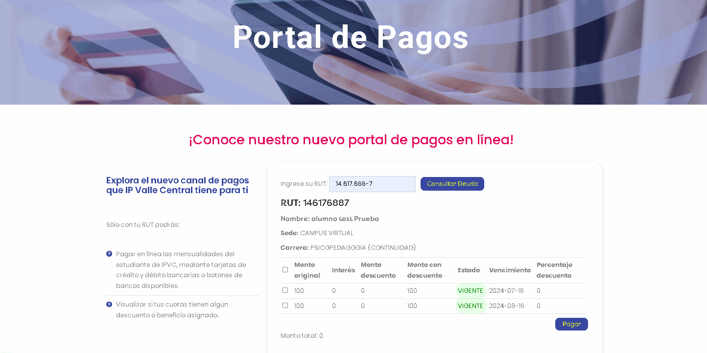 portal de pago