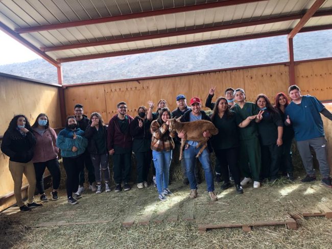 vistita_queseria_la_serena